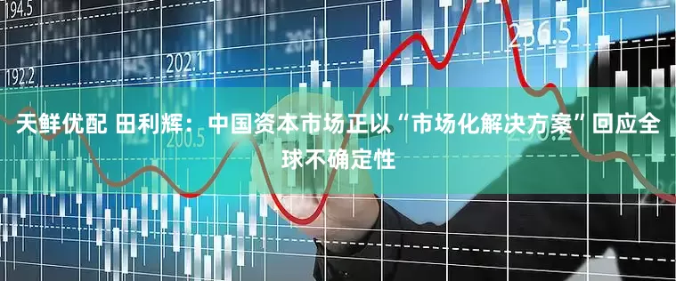 天鲜优配 田利辉：中国资本市场正以“市场化解决方案”回应全球不确定性