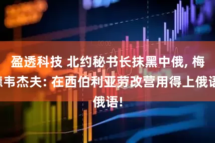 盈透科技 北约秘书长抹黑中俄, 梅德韦杰夫: 在西伯利亚劳改营用得上俄语!