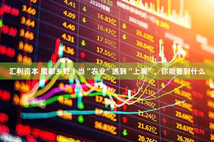 汇利资本 魔都乡野｜当“农业”遇到“上海”，你能看到什么