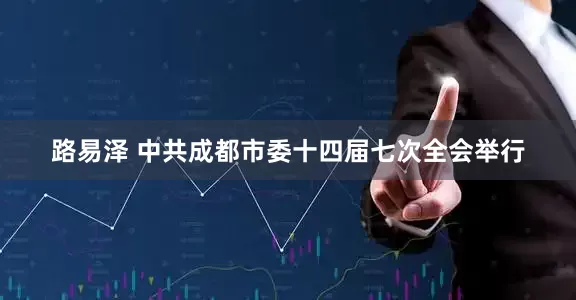 路易泽 中共成都市委十四届七次全会举行