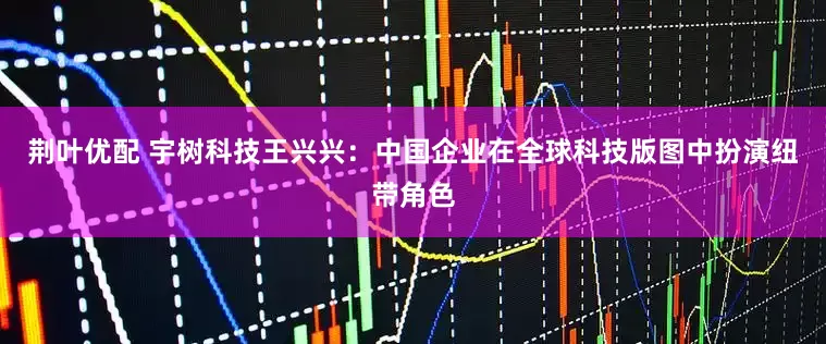 荆叶优配 宇树科技王兴兴：中国企业在全球科技版图中扮演纽带角色