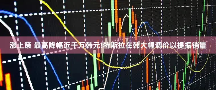 涨上策 最高降幅近千万韩元!特斯拉在韩大幅调价以提振销量