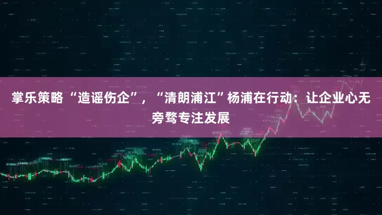 掌乐策略 “造谣伤企”，“清朗浦江”杨浦在行动：让企业心无旁骛专注发展